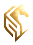 Chasseur Cyber Solutions